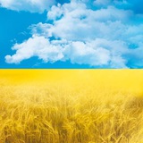 Турбівська селищна територіальна громада