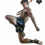 Fight Vision / Muay Thai / Martial Arts