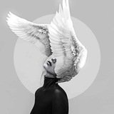 أثرُ الفراشةِ 🦋