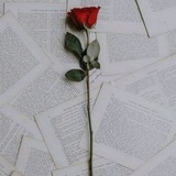 ♡ متن تلخـ ♡