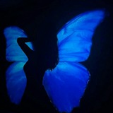 Blue - أزرق "💙.