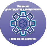 Трудоустройство студентов и выпускников ГАПОУ МО «ПК«Энергия»