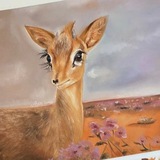 الـظـبـي🦌.