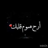 القارئ عبد الرحمن مسعد