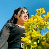 الشاعره مها علي محمد