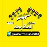 محور المقاومة ٣١٣ ❤️ ✌️