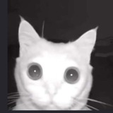 Логово