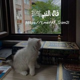 قال النبي ﷺ