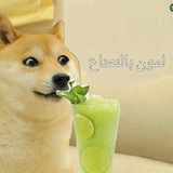 🇵🇸 | لمون بالنعناع 🍋 <i class="emoji" style="ba