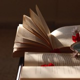 𓂆🇵🇸 ترانيم حرف 📚
