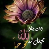 إطمئنان