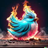 Hot Twitt 🕊️