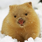 ВКВБ