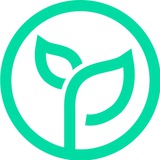 Beansprout Insights