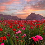 Миллиард казахстанцев