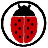 🐞 La vérité vous rendra libres ! 🐞