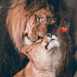 Aşkım O açgözlüydü 🪐 ❤