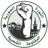 المقاومة الشعبية - الثورة السورية