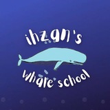 π³ ihzans whaleschool π³