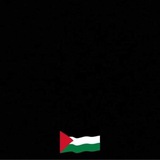 الشاهيـن