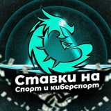 Бобриная плотина Icemo21