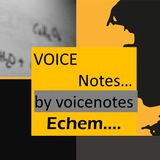 𝐕𝐎𝐈𝐂𝐄 𝐍𝐎𝐓𝐄 by voicenotes.Echem