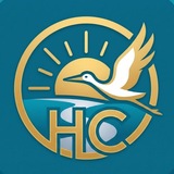 Новости Столина