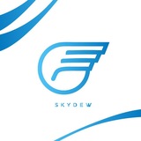 SKYDEW TRAVEL