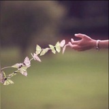 Анонсы от NEIRAMETA