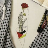 غزة نيوز - Gaza News