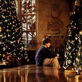 Harry Potter is my Life 🔮 🪄