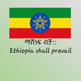 አዲስ ነገር ®