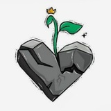 مقصد رویا 🌿