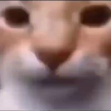 Фоны и видео для мемов