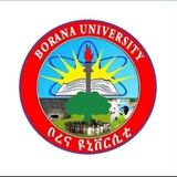 Borena university