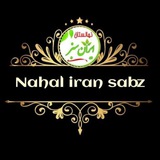 نهالستان ایران سبز《امیری》