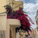 خواطر