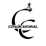 Серый CARDINAL🇰🇿⚽️