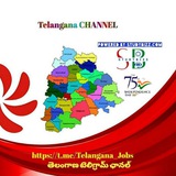 STUDYBIZZ EDUCATION & JOBS - Telangana