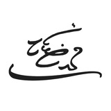 محمد رضایی راد