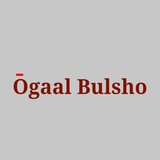 OGAAL BULSHO 🫵