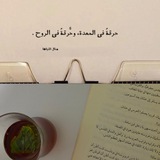 جرح القصيد