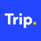 Trabajos de viaje en línea (grupo seis)