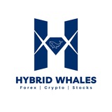 Hybrid Whales β’ by 0xKaroshi