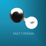 SALT CINEMA | Події та можливості
