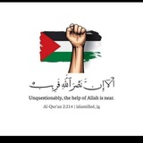 قناة حاسبات الدلتا بالمنصورة