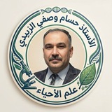 الاستاذ حسام وصفي الزبيدي