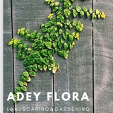 Adey FLora & Garden 🌵 🌼 <i class="emoji" style="bac