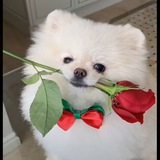 𝑺𝒘𝒆𝒆𝒕𝒓𝒐𝒍𝒍_𝒄𝒂𝒏𝒅𝒚 ❤️