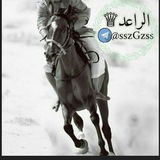 الرّاعد | ARAED 🏹